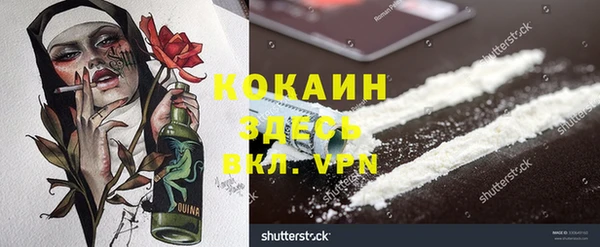 дурь Вяземский